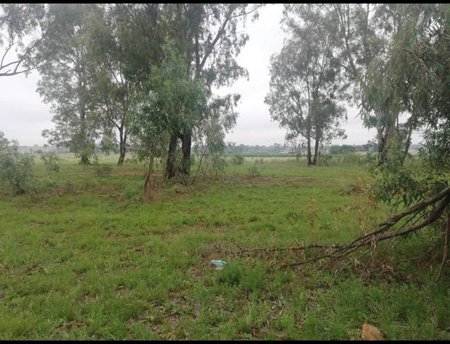 FARM FOR SALE IN DREAMLAND